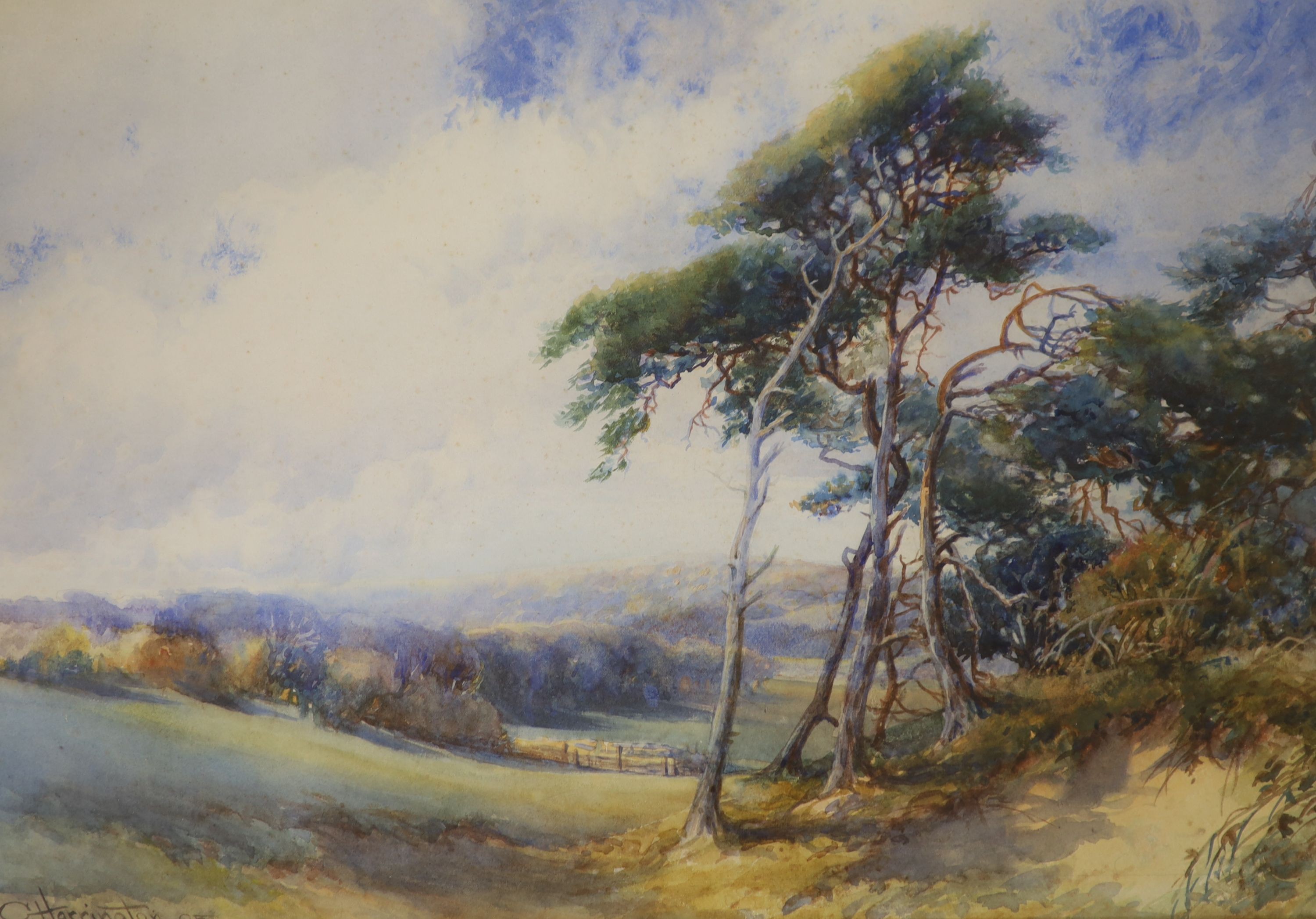 Charles Harrington (1865-1943), watercolour, landscape with Pinetrees in the foreground, sign 44 x 62 cm.